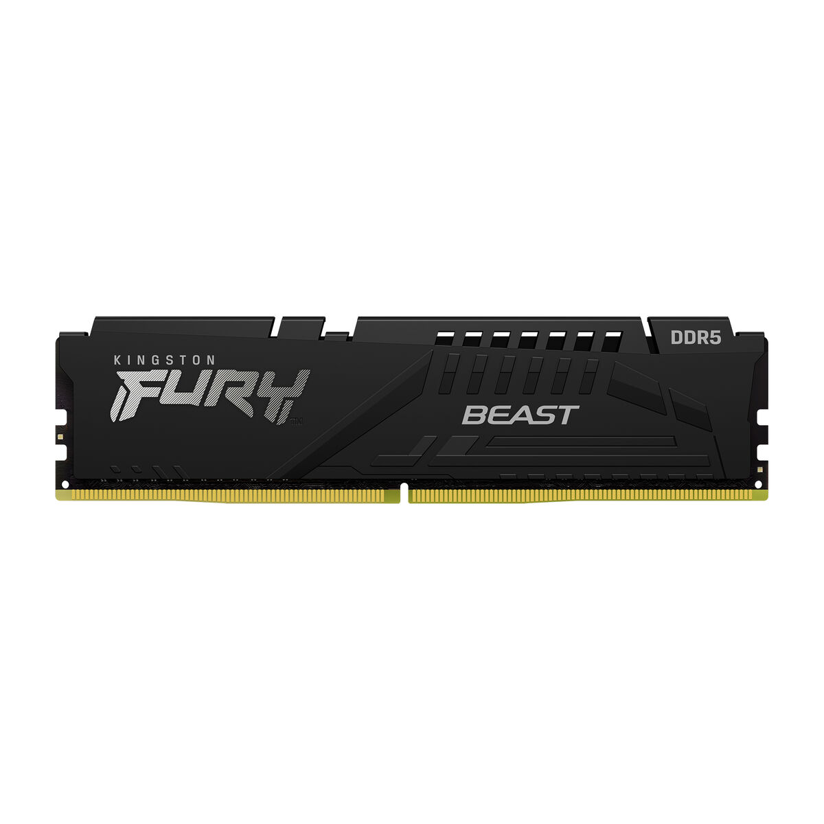 RAM memorija Kingston Beast 64 GB 5600 MHz DDR5 SDRAM DDR5
